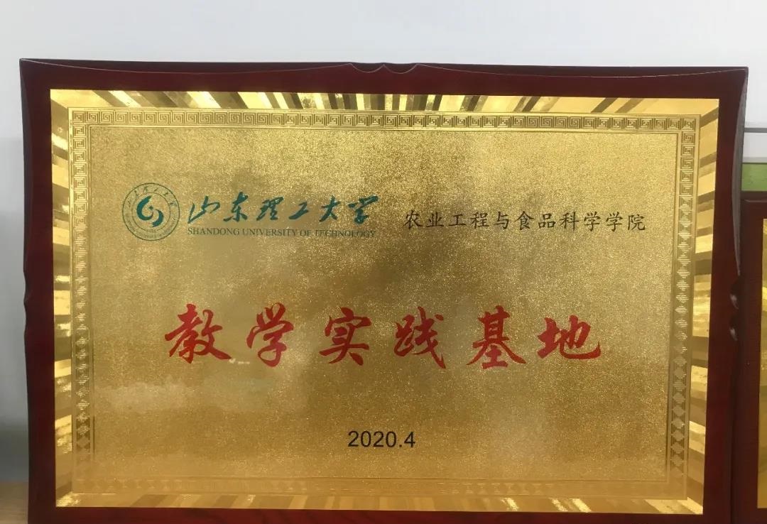 青島高新區(qū)企業(yè)與山東理工大學(xué)攜手共進(jìn)，共繪影視策劃新藍(lán)圖